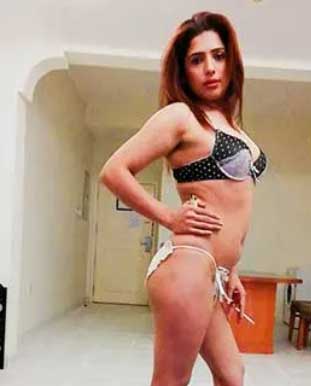 ahmedabad escorts service